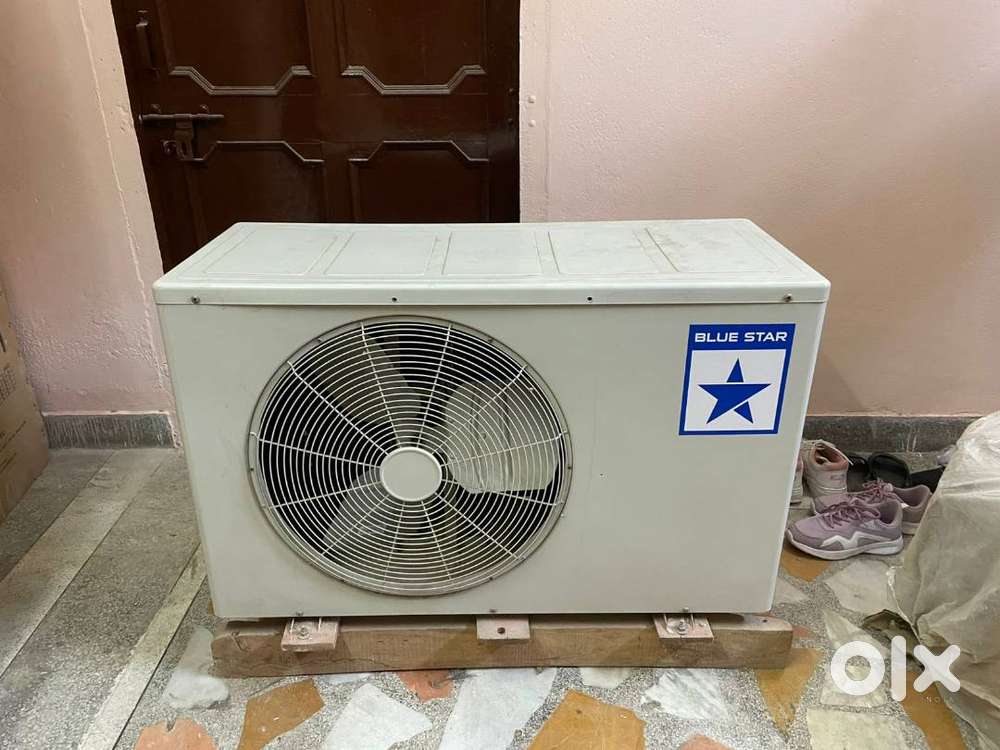 Bluestar 3 Ton Cold Room AC