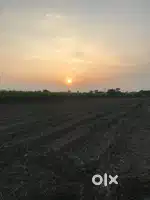 OPEN LAND FOR SALE