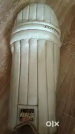 A pair of cricket pad
