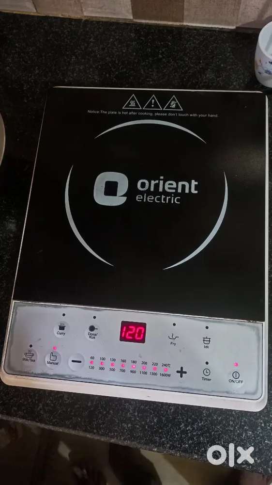 ELECTRIC INDUCTION