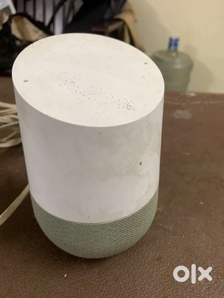 Google companion speaker