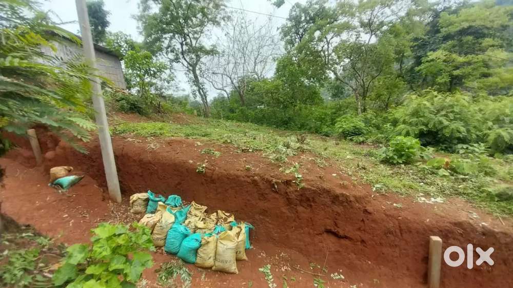 plot for sale in Noonmati,Near Bhabanipur LP School Byelane.