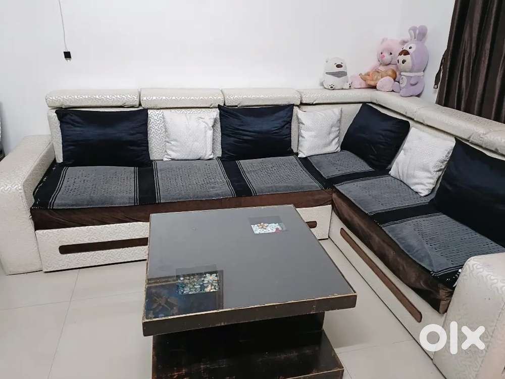 Sofa cum-Bed with storage +Centre table - Good condition, best price