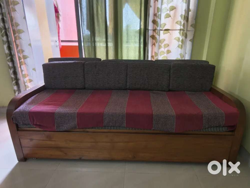Sofa Cum Bed