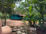 16.5 cent Residential plot for sale in Irinjalakuda, Thrissur,kerala