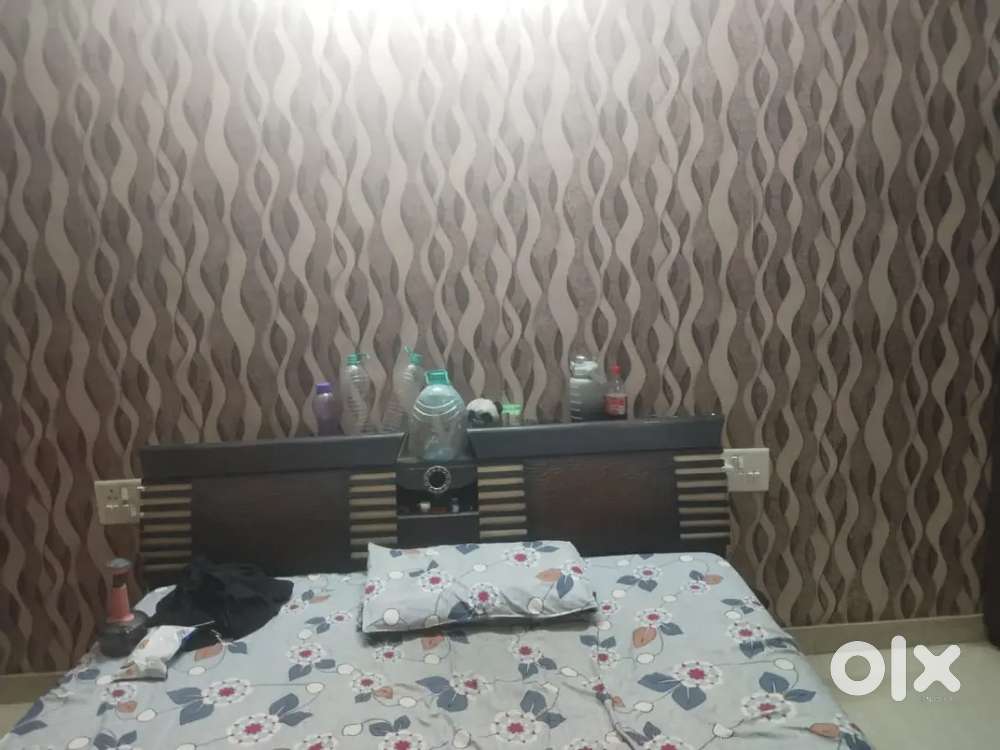 Fully furnished luxurious room with separate kitchen