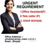 Required office assistant (f)