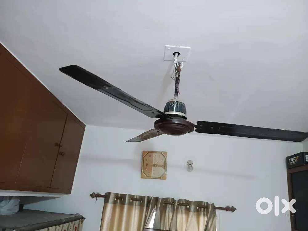 Celling Fan