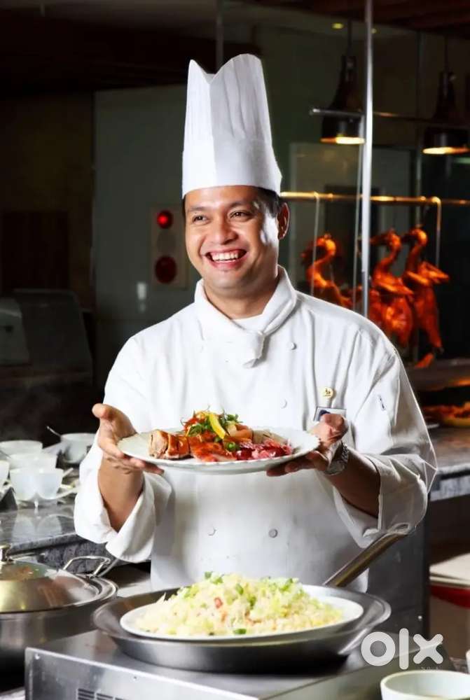 I need chef only NIPELI apply