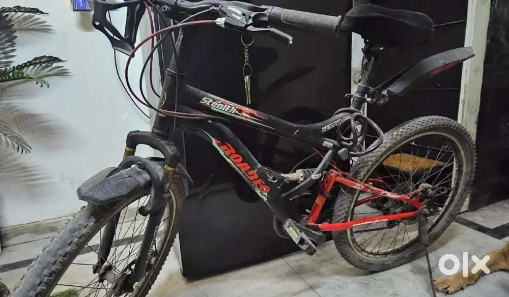 Hercules Stealth 21 Speed Cycle