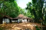House with fully furnished and full wooden work.