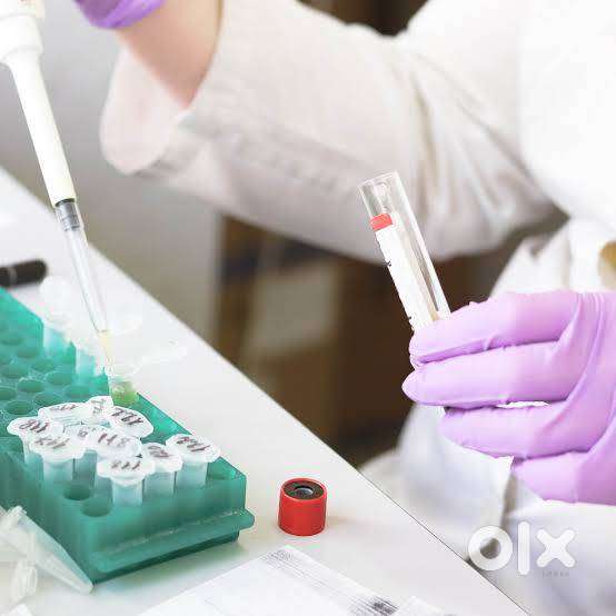 Need medical lab technician