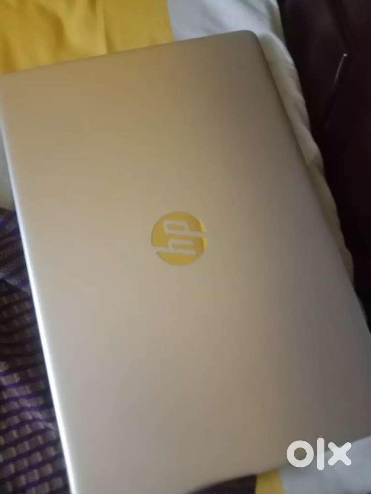 Bank background verification executive