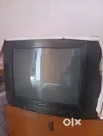 Sansui TV - 53 cm in perfect running condition Rs. 3500/-