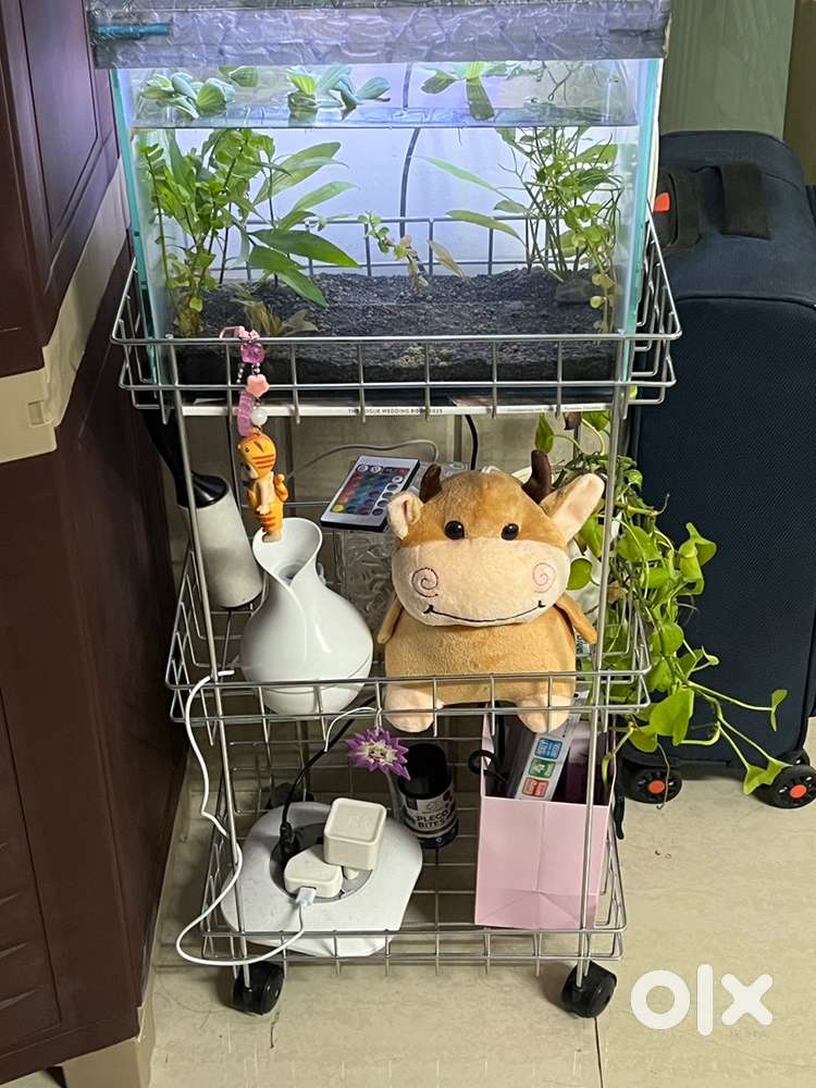 Steel rack/ organizer & laptop table for sale