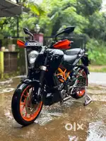 DUKE 390 (BS3)