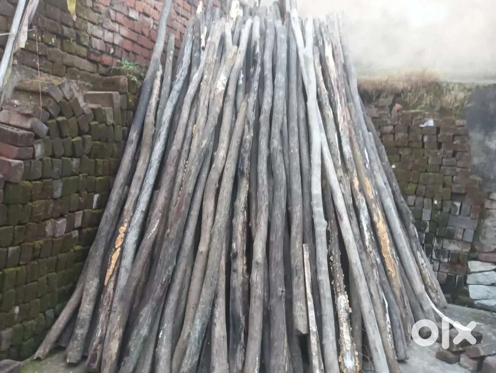 CENTRING MATERIAL (BALLI,PLY)
