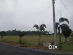 Villa plots nearby venkatagiri