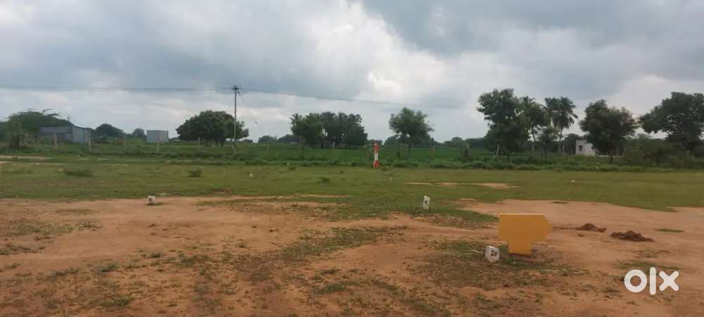 Thogamalai to Kulithalai Road DTCP Plots Available