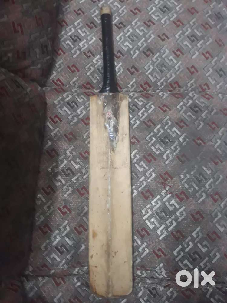 Cricket Bat