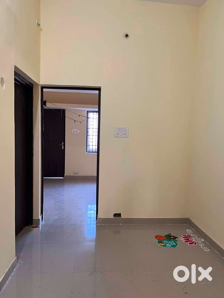 NEW & FRESH GIRLS PG in main road