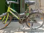 24.5 inch hybrid non gear cycle