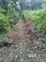 Plot for sale 10 cent ,
