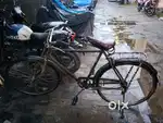 Cycle sale urgent Basis