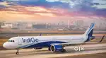 Airport jobs