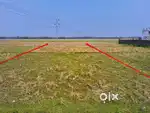 5 kotha road connected land for sale. (Jorhat)