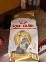 Royal canin 2 kg cat food adult persian (Sealed)