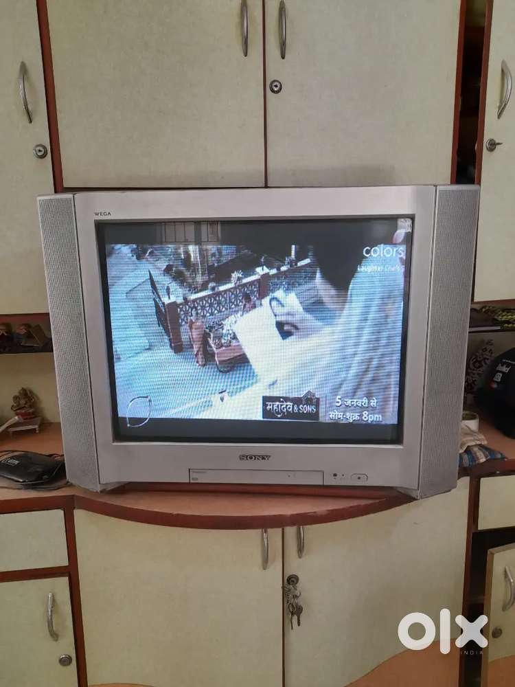 Sony Trinitron WEGA flat-screen CRT television.