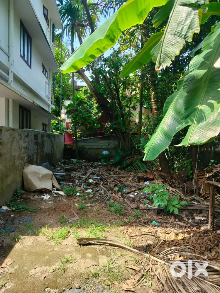 Centre of Pachalam, Road side