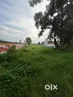 3024 Gaj Land for Sale in Chota mawana meerut near new kutchery