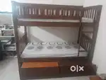 PEPPERFRY BUNK BED