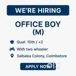 Wanted Office Boy