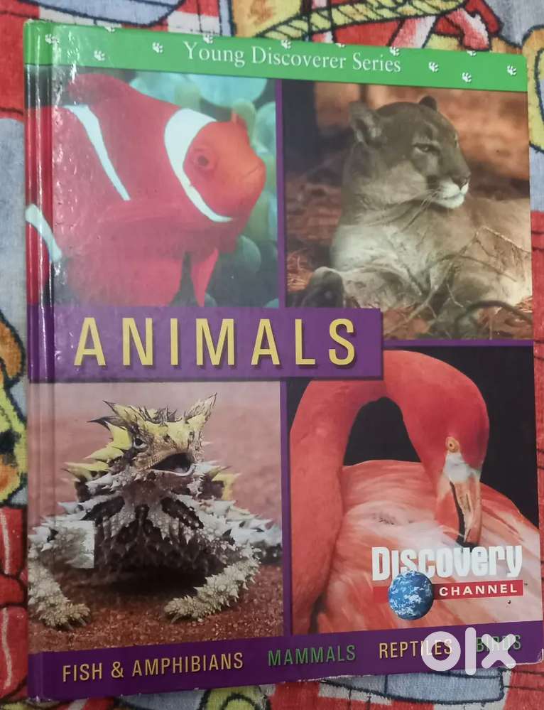 Book Name Animals