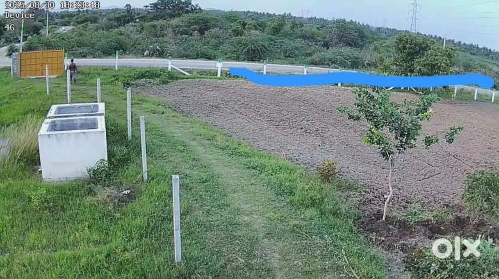 Looking for farming job