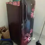 LG190L4star fridge