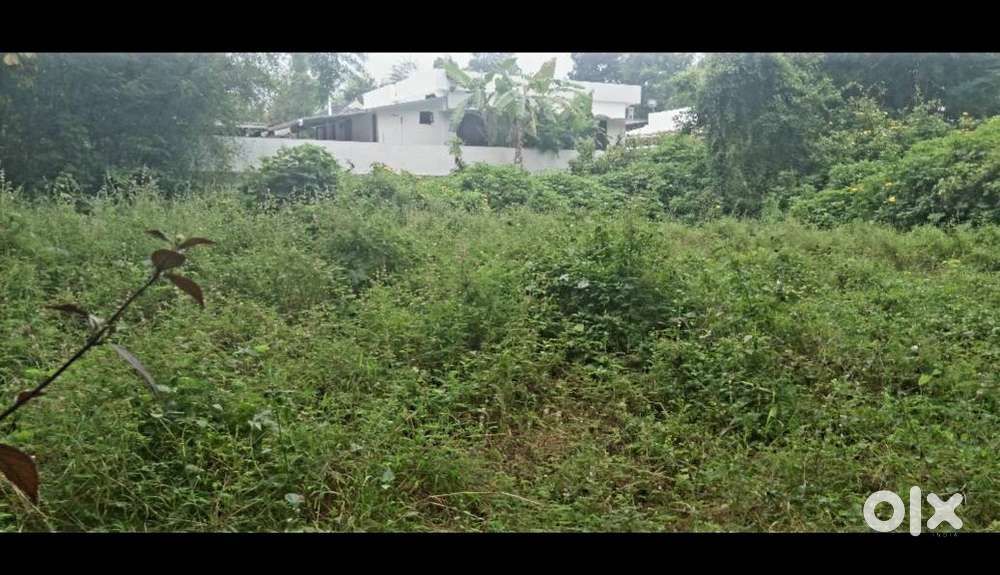 50 cents of residential plot (purayidam) for sale