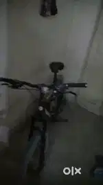 Le lo le lo