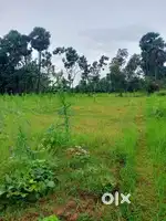Best agriculture land