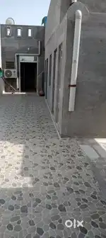 Sharma colony rani bazar