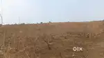 40-ACRE PRIME LAND FOR SALE – At Wardha VIJAY GOPAL