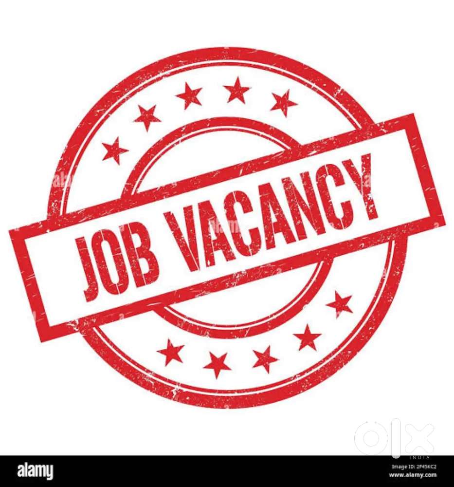 Bank Collection Agent