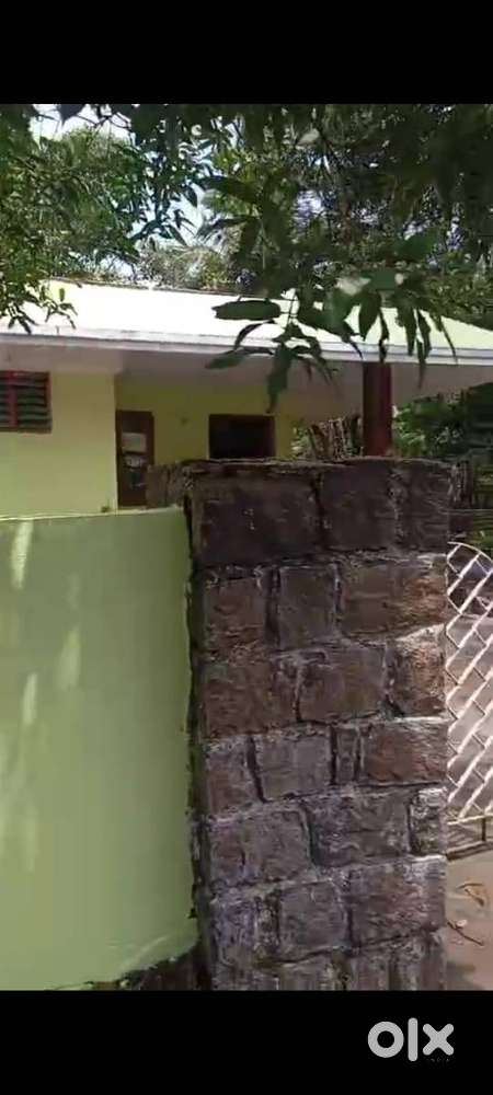 3 bhk desom parambayam house for rent