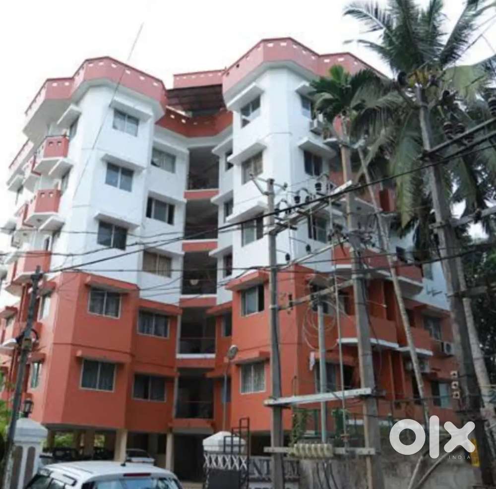 Looking for a female professional for 2 months