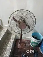 Desi Farrata Fan
