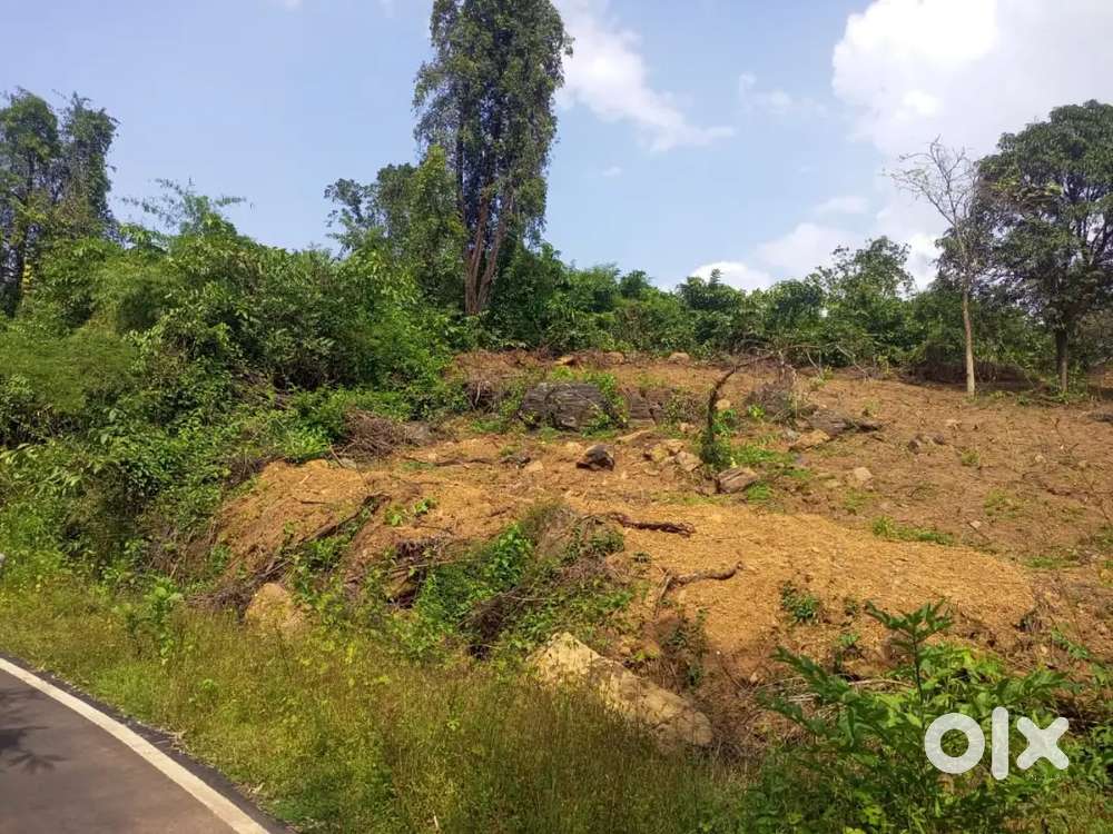 Plot sale sankli nr maruti showroom harwale