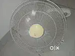 Orient wall fan